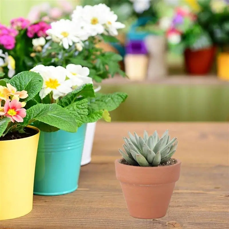 10Pcs 4.5x4cm Small Mini Terracotta Pot Clay Favours Ceramic Pottery Flower Pots Great For Decors Crafts