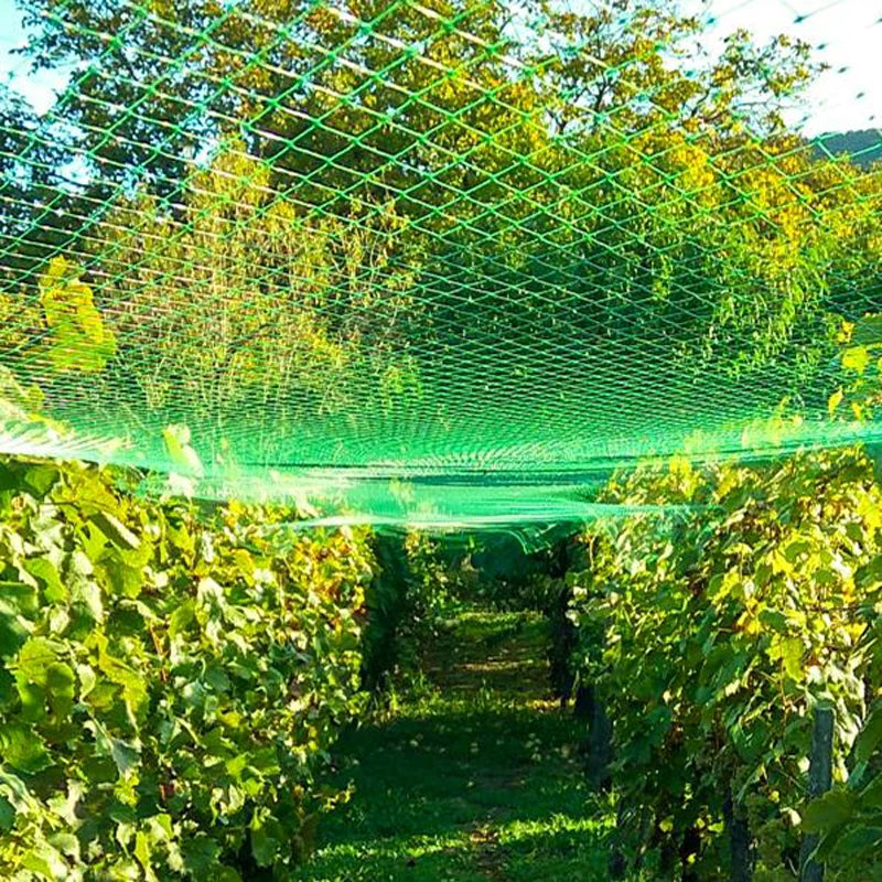 5/10/20M Anti Bird Protection Net Mesh Garden Plant Netting Protect Plants and Fruit Trees from Birds Deer Poultry Best Fencing