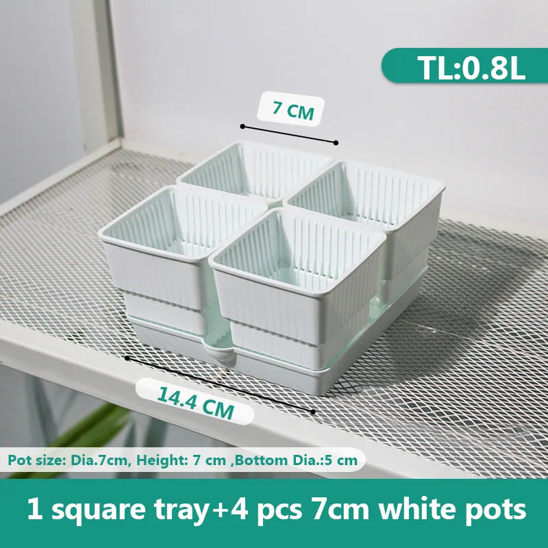 Meshpot 4 pcs Succulent Square pot with 1tray set for Cactus Lipthops, Astrophytum Plants Planting or Nursery Flower Pot. 6cm