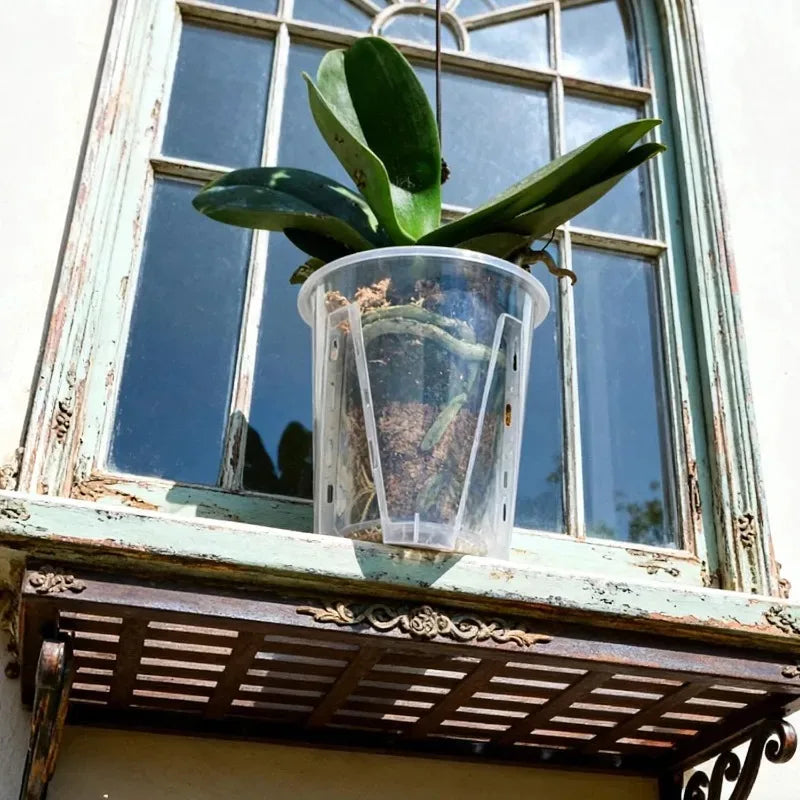S/M/L/XL Clear PP Plastic Root Control Breathable Flower Pot Orchid Air Holes Plants Enhanced Drainage Garden Pot Home Garden