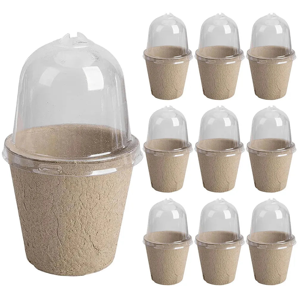 10Pcs Seedling Cup Seedling Pot Transparent Lid Greenhouse Breeding Box Biodegradable Plant Growing Cup Versatile for Gardening