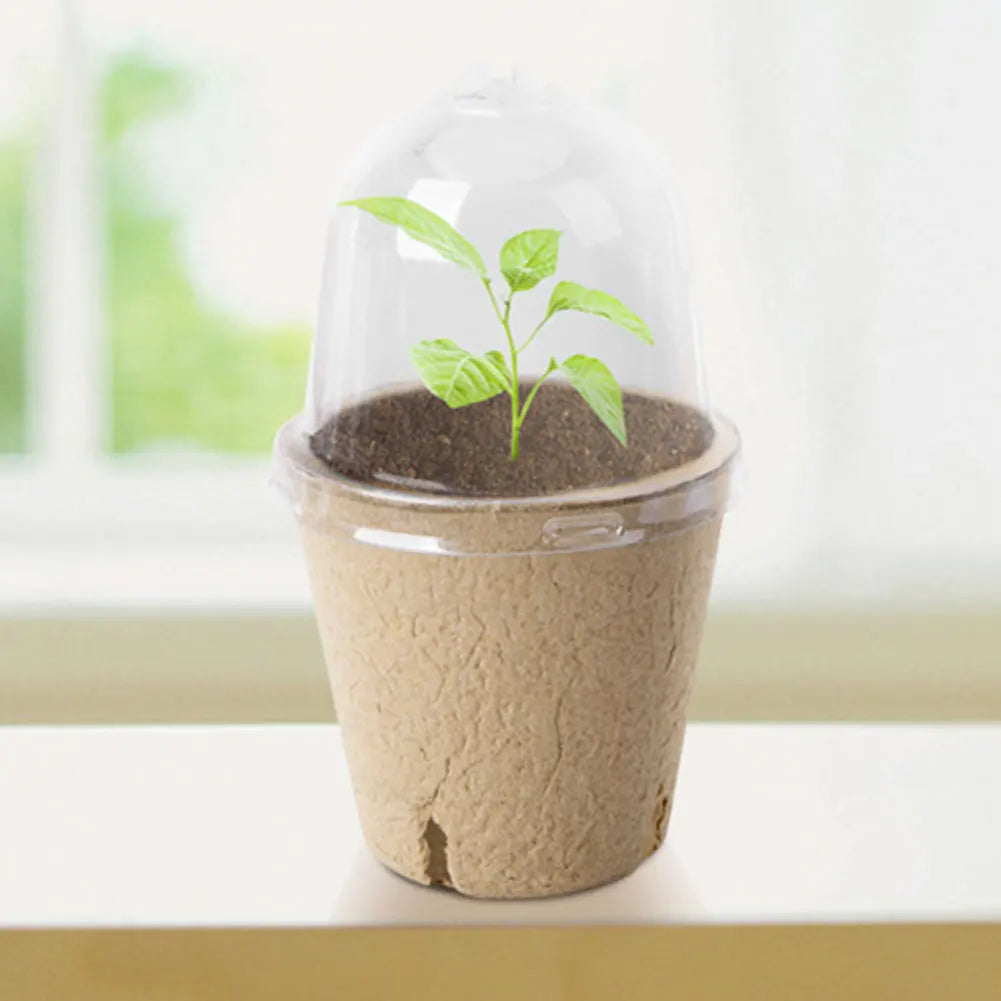 10Pcs Seedling Cup Seedling Pot Transparent Lid Greenhouse Breeding Box Biodegradable Plant Growing Cup Versatile for Gardening