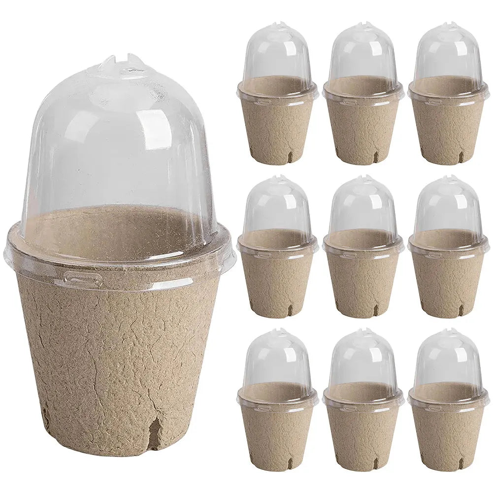10Pcs Seedling Cup Seedling Pot Transparent Lid Greenhouse Breeding Box Biodegradable Plant Growing Cup Versatile for Gardening