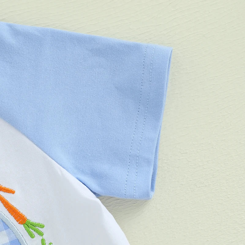 Toddler Boys Easter Outfits Adorable Bunny Embroidery Short Sleeve T-Shirt and Plaid Shorts Set for 2 Piece Clothing Ensemble