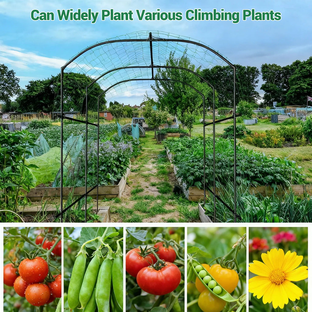 Large Cucumbers Plants Trellis PE Coated Metal Frame Arch Garden Net Climbing Trellis Plant Support for Flowers Plants Vegetable