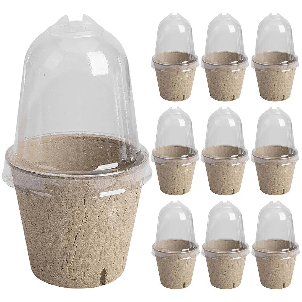 10Pcs Seedling Cup Seedling Pot Transparent Lid Greenhouse Breeding Box Biodegradable Plant Growing Cup Versatile for Gardening