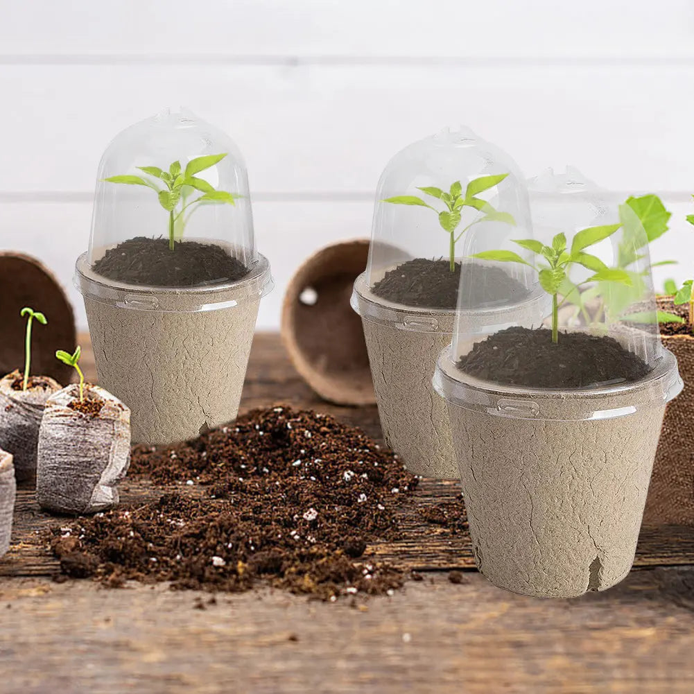 10Pcs Seedling Cup Seedling Pot Transparent Lid Greenhouse Breeding Box Biodegradable Plant Growing Cup Versatile for Gardening