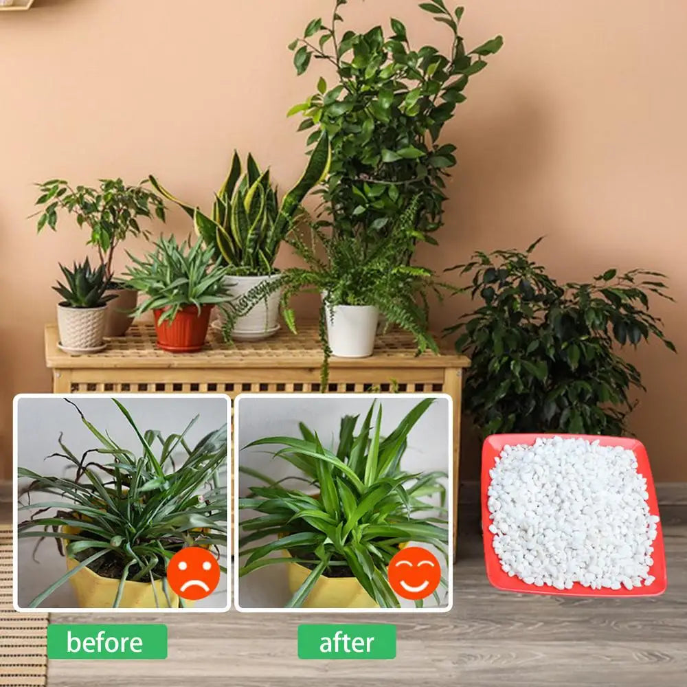 Perlite Bulk For Gardening Horticultural Potting Soil Perlite Lightweight Texture Planting Tool For Hydroponics Container