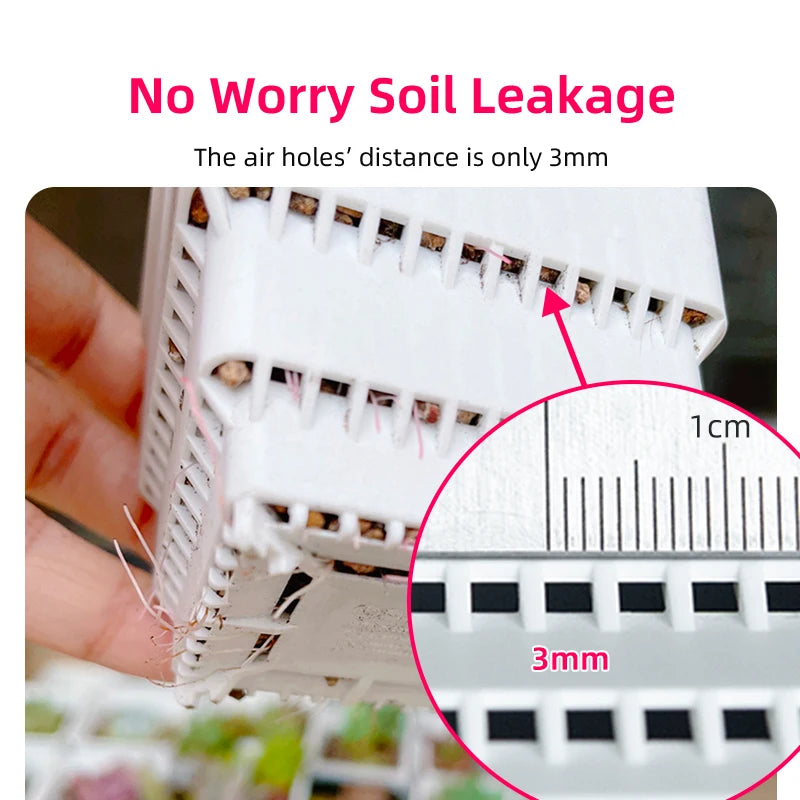 Meshpot 4 pcs Succulent Square pot with 1tray set for Cactus Lipthops, Astrophytum Plants Planting or Nursery Flower Pot. 6cm