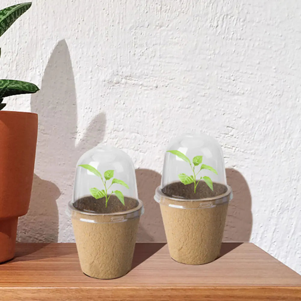 10Pcs Seedling Cup Seedling Pot Transparent Lid Greenhouse Breeding Box Biodegradable Plant Growing Cup Versatile for Gardening