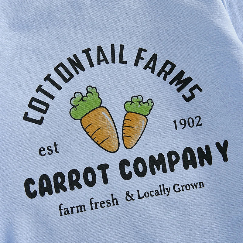 Easter Bunny Rabbit Ear Hooded Rompers for Baby Girls Boys Carrot Letter Print Long Sleeve Spring Bodysuits Jumpsuits with