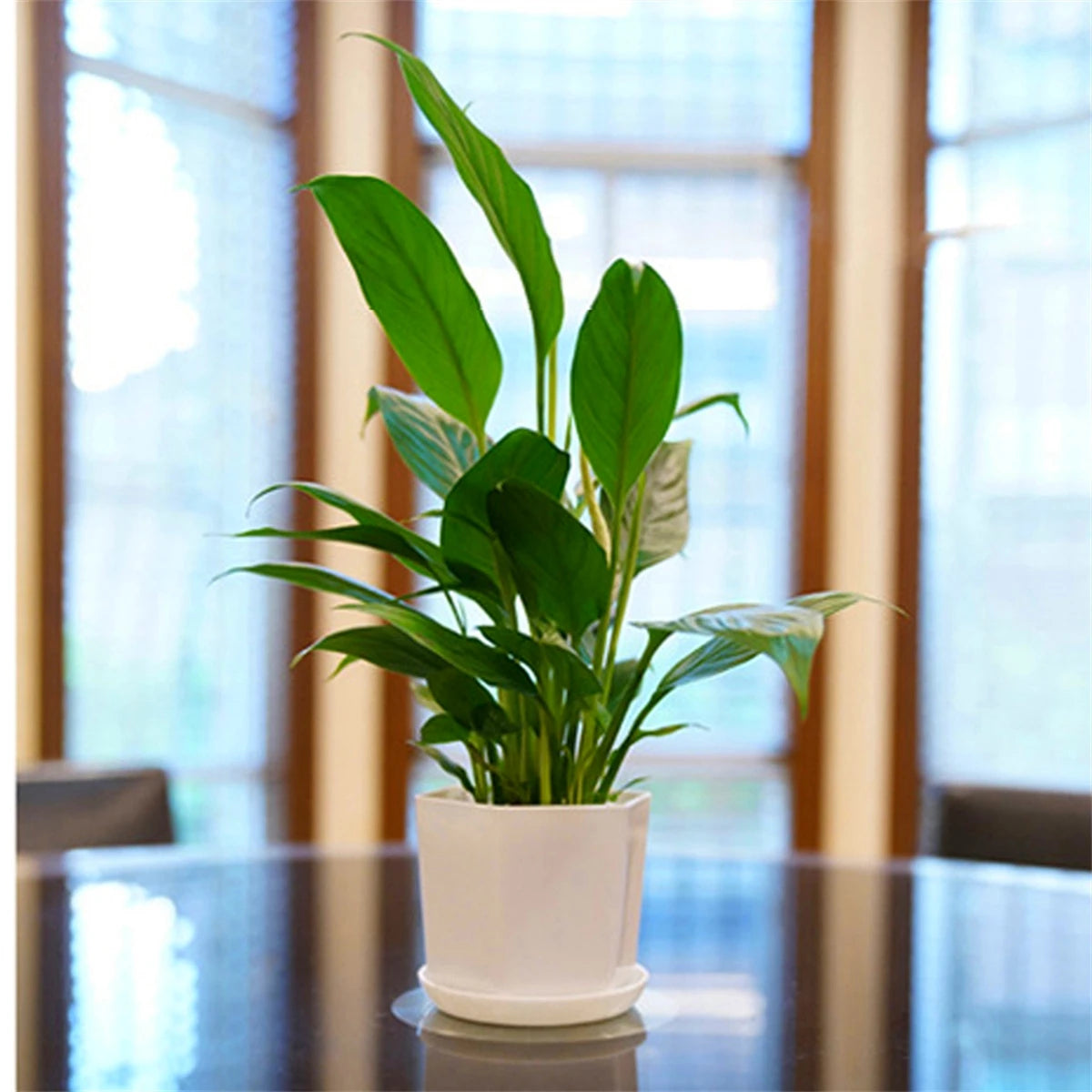 1/5Pcs White Modern Flower Pots With Trays Garden Balcony Desk Thicken Boxes Home Office Minimalist Bonsai Polygonal Containers