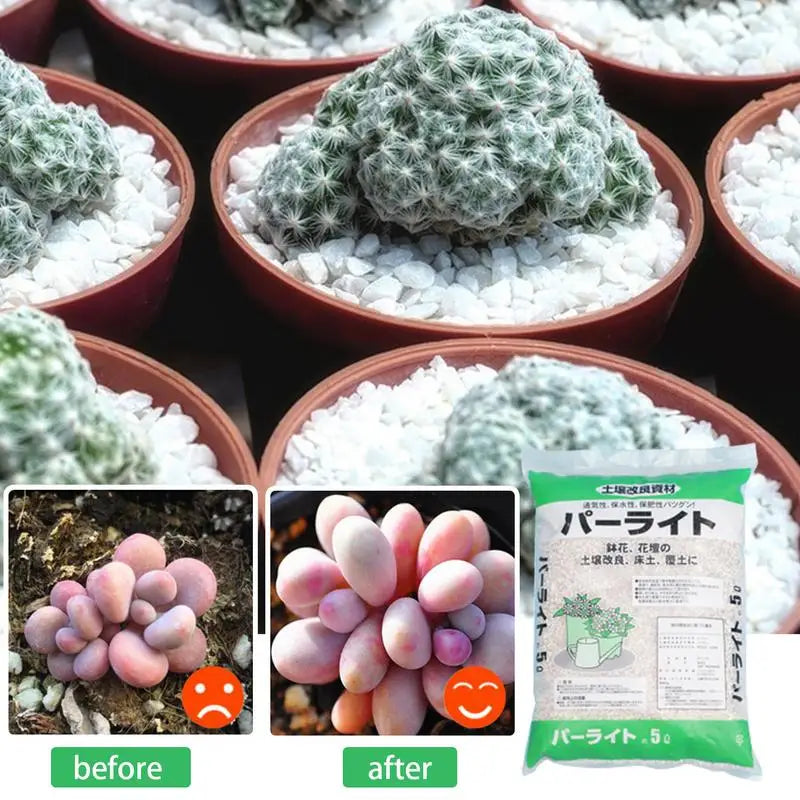Perlite Bulk For Gardening Horticultural Potting Soil Perlite Lightweight Texture Planting Tool For Hydroponics Container