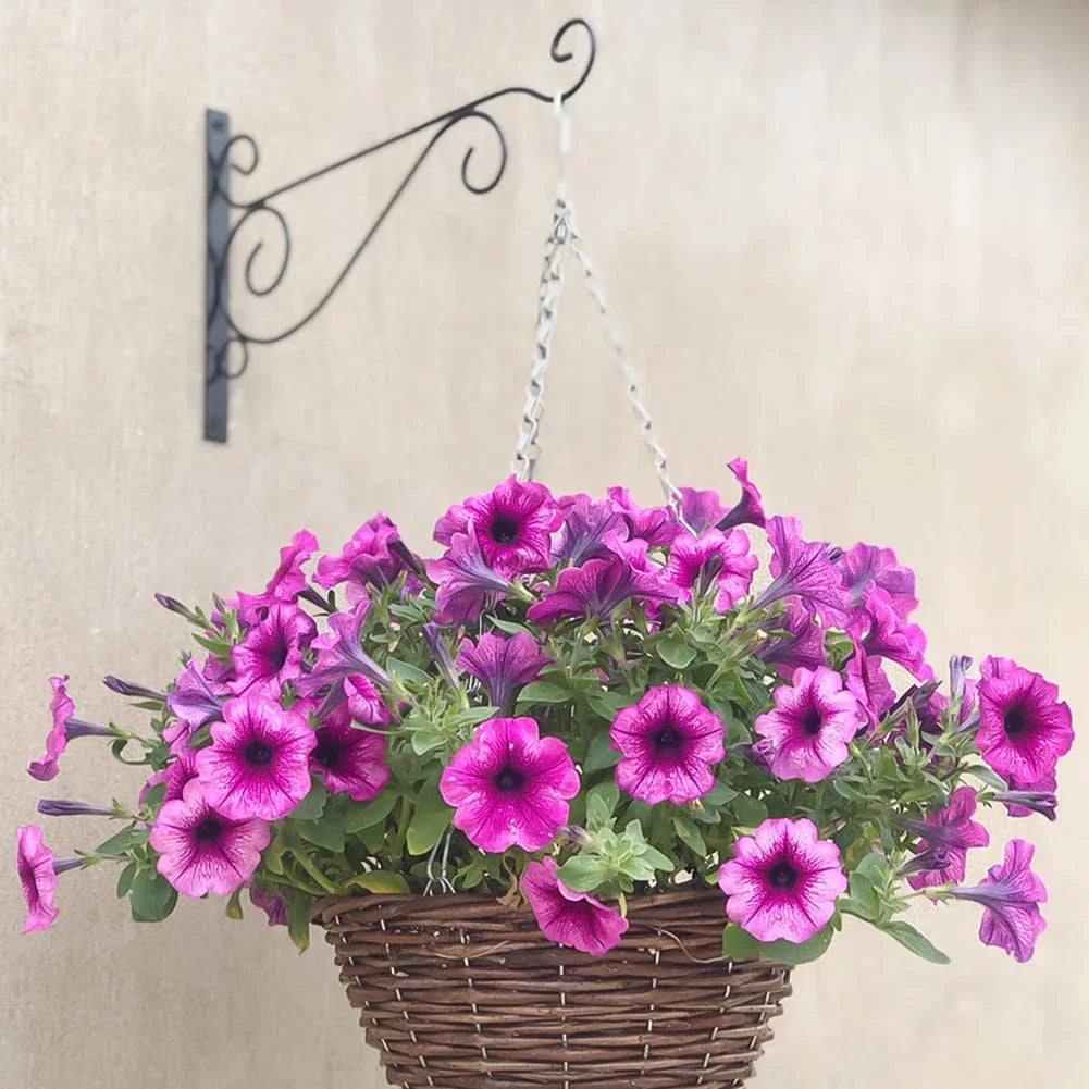 Hanging Bracket Hooks Hanger Wall Bird Flower Pot Basket Planter Lantern Metal Feeder Chime Wind Mount Hook Garden Decor