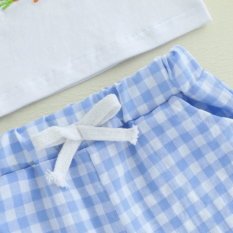 Toddler Boys Easter Outfits Adorable Bunny Embroidery Short Sleeve T-Shirt and Plaid Shorts Set for 2 Piece Clothing Ensemble