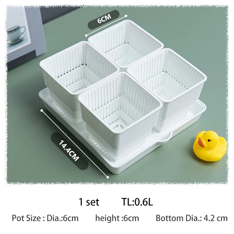 Meshpot 4 pcs Succulent Square pot with 1tray set for Cactus Lipthops, Astrophytum Plants Planting or Nursery Flower Pot. 6cm