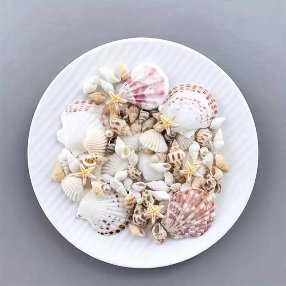 1 box of about 100pcs Bohemian Conch Shell Mix Set - For DIY Jewelry Resin Art Handmade Materials, Fish Tank Bathroom Home Decor