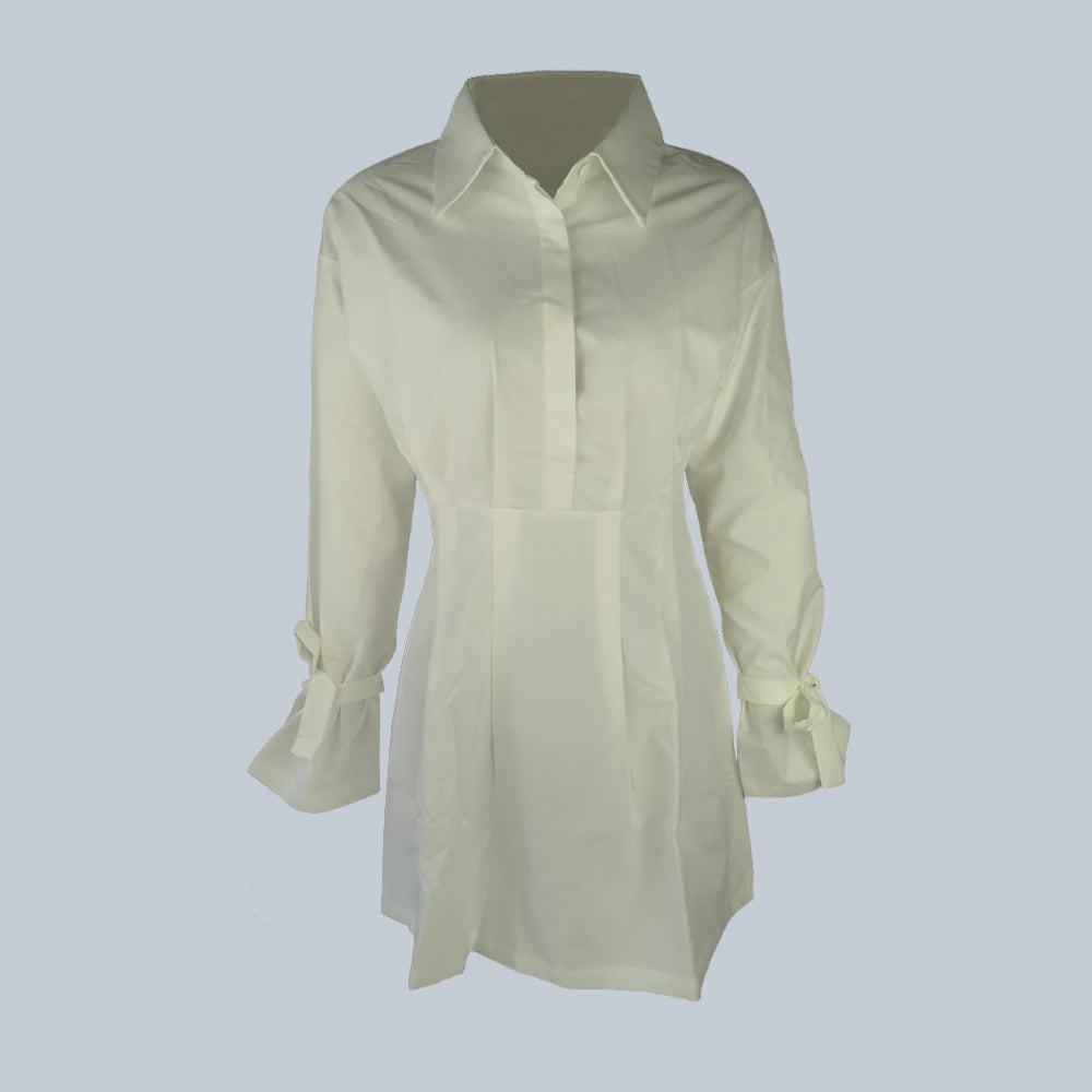 Women's White Button Front Dress Casual Long Sleeve Lapel Shirt Dress Fashion Female Loose Mini Dress