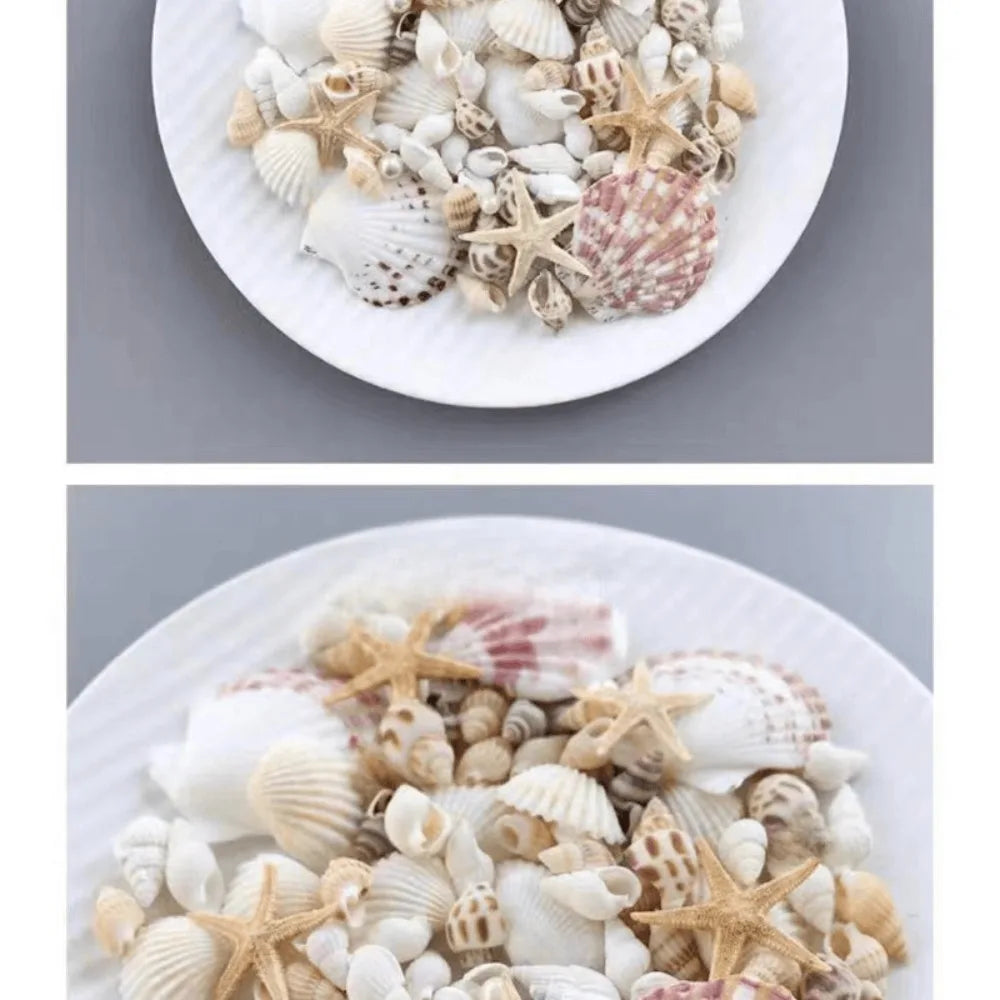 1 box of about 100pcs Bohemian Conch Shell Mix Set - For DIY Jewelry Resin Art Handmade Materials, Fish Tank Bathroom Home Decor
