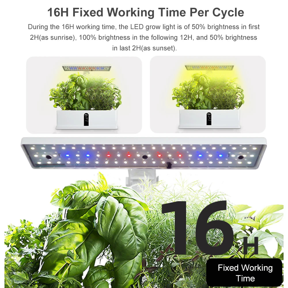 Smart Hydroponics Growing System Kit Automatic Timing with Height Adjustable 15W LED Grow Lights 2L Water Tank for Indoor Garden