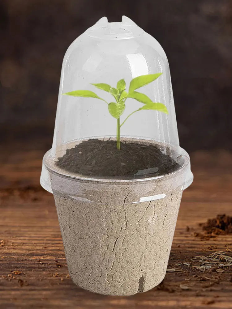 10Pcs Seedling Cup Seedling Pot Transparent Lid Greenhouse Breeding Box Biodegradable Plant Growing Cup Versatile for Gardening