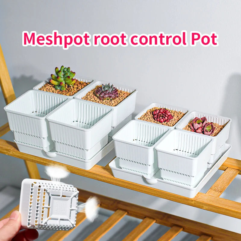 Meshpot 4 pcs Succulent Square pot with 1tray set for Cactus Lipthops, Astrophytum Plants Planting or Nursery Flower Pot. 6cm