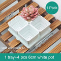 Meshpot 4 pcs Succulent Square pot with 1tray set for Cactus Lipthops, Astrophytum Plants Planting or Nursery Flower Pot. 6cm