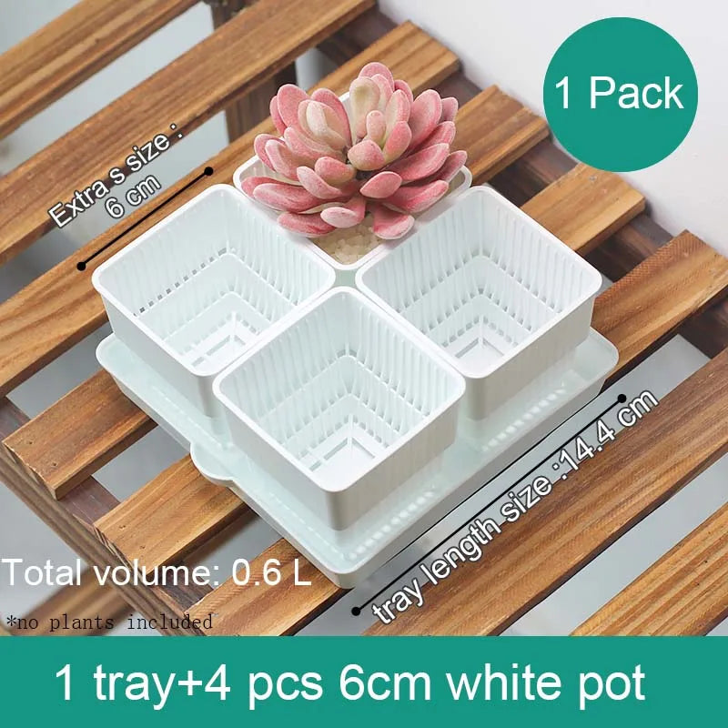 Meshpot 4 pcs Succulent Square pot with 1tray set for Cactus Lipthops, Astrophytum Plants Planting or Nursery Flower Pot. 6cm