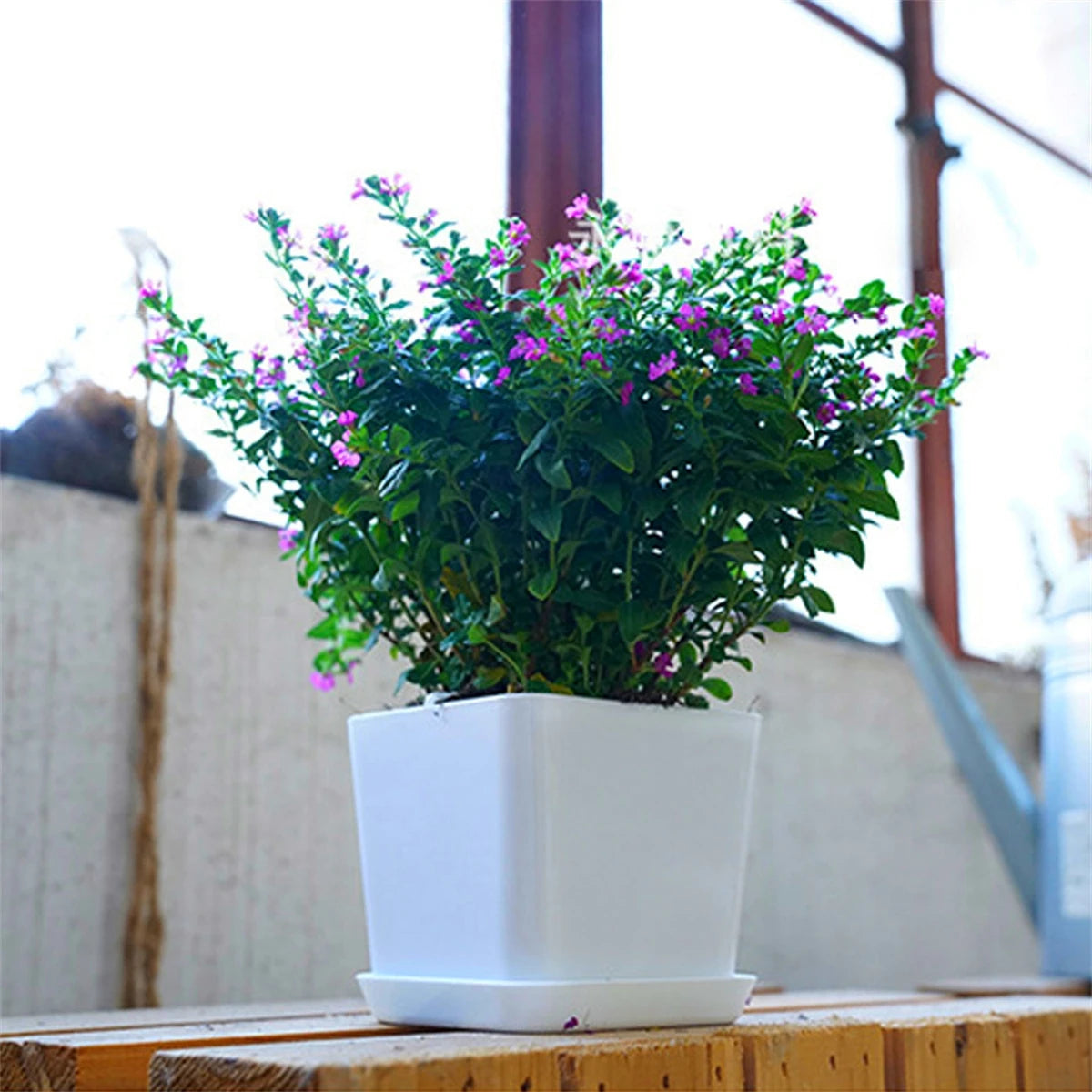 1/5Pcs White Modern Flower Pots With Trays Garden Balcony Desk Thicken Boxes Home Office Minimalist Bonsai Polygonal Containers