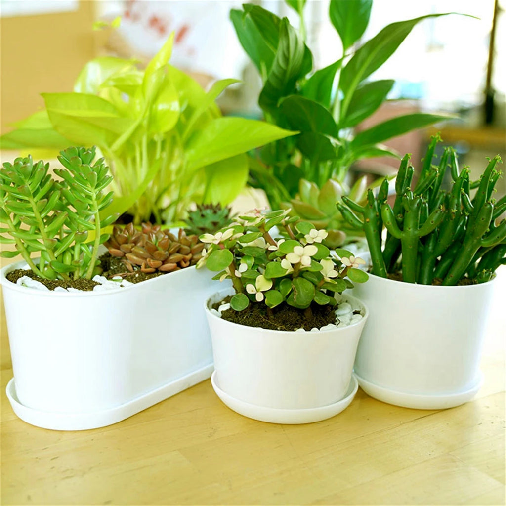 1/5Pcs White Modern Flower Pots With Trays Garden Balcony Desk Thicken Boxes Home Office Minimalist Bonsai Polygonal Containers