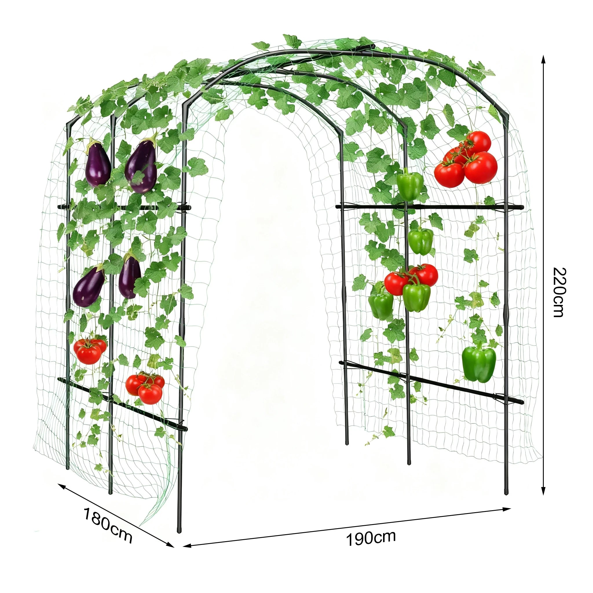 Large Cucumbers Plants Trellis PE Coated Metal Frame Arch Garden Net Climbing Trellis Plant Support for Flowers Plants Vegetable