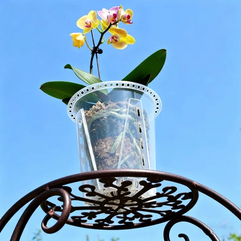 S/M/L/XL Clear PP Plastic Root Control Breathable Flower Pot Orchid Air Holes Plants Enhanced Drainage Garden Pot Home Garden