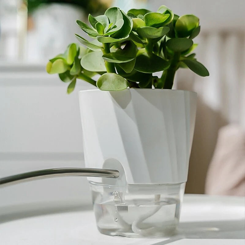 Lazy Self Watering Planter Pots Double Layer Hydroponic Flower Pot Succulent Potted Planters Bonsai Pot Home Office Garden Decor