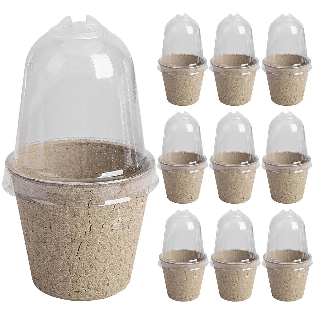 10Pcs Seedling Cup Seedling Pot Transparent Lid Greenhouse Breeding Box Biodegradable Plant Growing Cup Versatile for Gardening