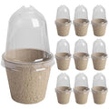 10Pcs Seedling Cup Seedling Pot Transparent Lid Greenhouse Breeding Box Biodegradable Plant Growing Cup Versatile for Gardening