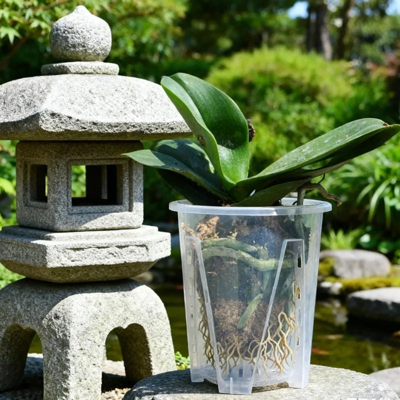 S/M/L/XL Clear PP Plastic Root Control Breathable Flower Pot Orchid Air Holes Plants Enhanced Drainage Garden Pot Home Garden