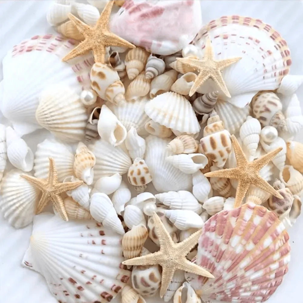 1 box of about 100pcs Bohemian Conch Shell Mix Set - For DIY Jewelry Resin Art Handmade Materials, Fish Tank Bathroom Home Decor