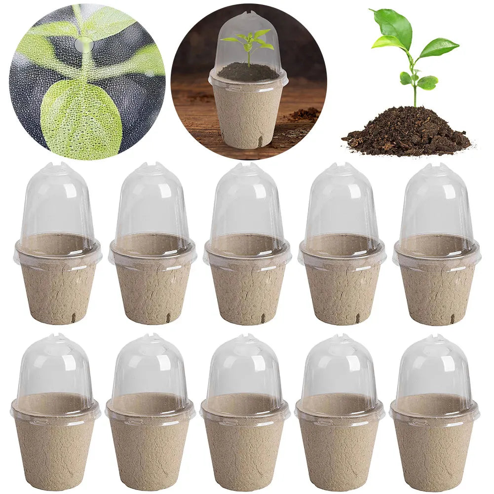 10Pcs Seedling Cup Seedling Pot Transparent Lid Greenhouse Breeding Box Biodegradable Plant Growing Cup Versatile for Gardening