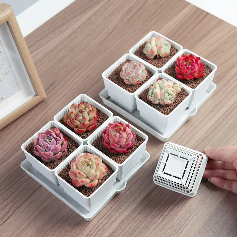 Meshpot 4 pcs Succulent Square pot with 1tray set for Cactus Lipthops, Astrophytum Plants Planting or Nursery Flower Pot. 6cm