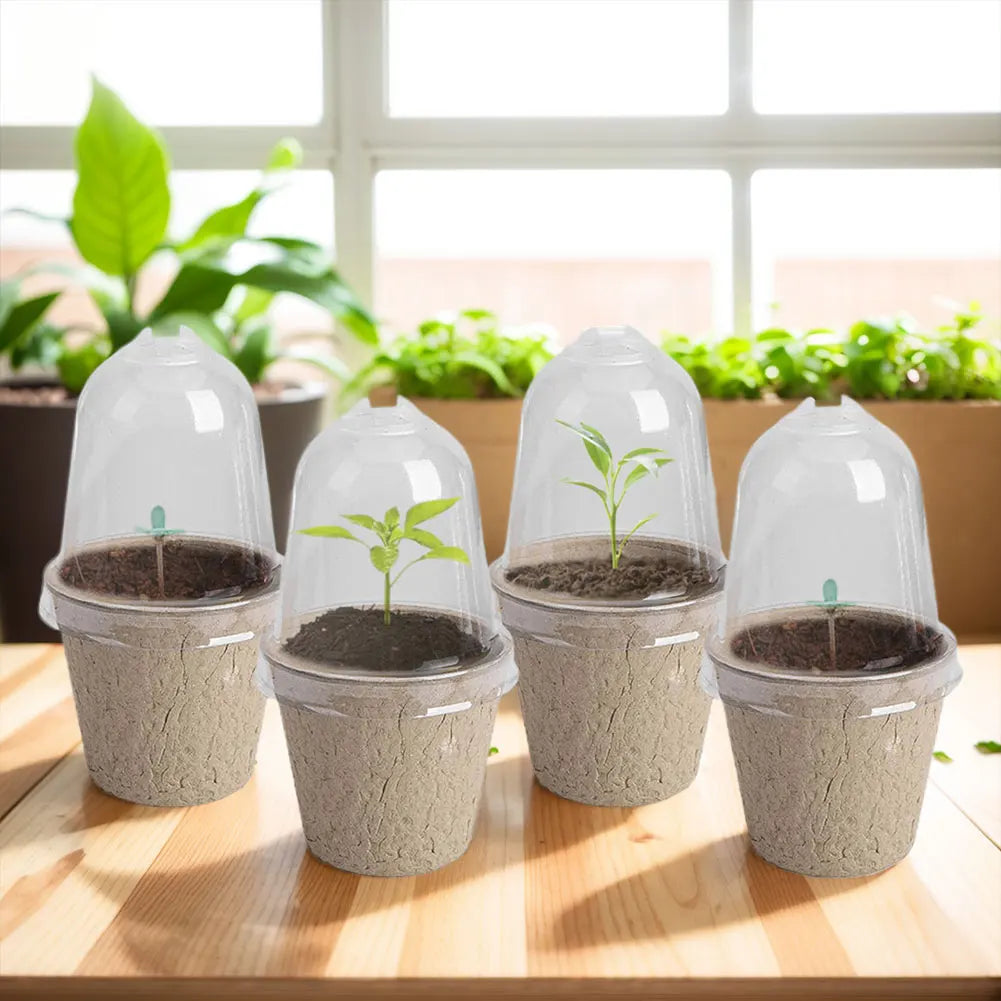 10Pcs Seedling Cup Seedling Pot Transparent Lid Greenhouse Breeding Box Biodegradable Plant Growing Cup Versatile for Gardening