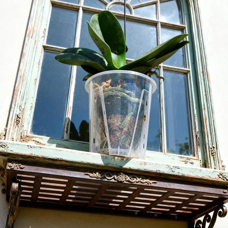 S/M/L/XL Clear PP Plastic Root Control Breathable Flower Pot Orchid Air Holes Plants Enhanced Drainage Garden Pot Home Garden